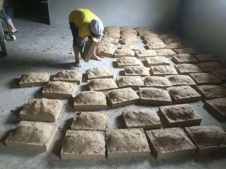 为什么茅台镇酿酒,一定要选冬小麦作为制曲原料